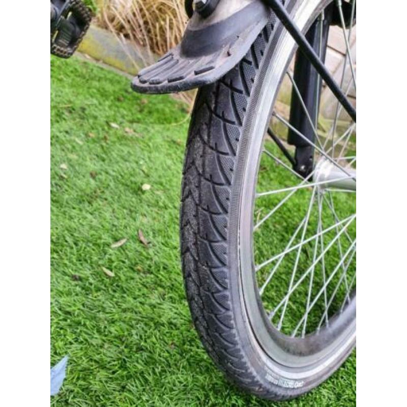 alpina yabber 20 inch