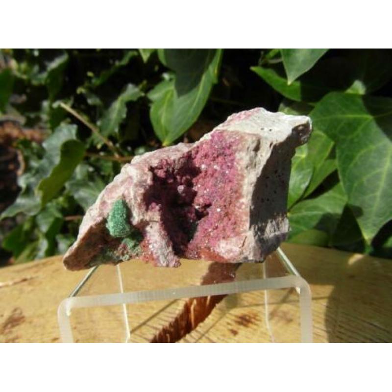 Cobaltcalciet met Malachiet op Matrix