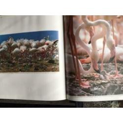 natuurboeken: 12 Boeken uit de wereld der woeste natuur