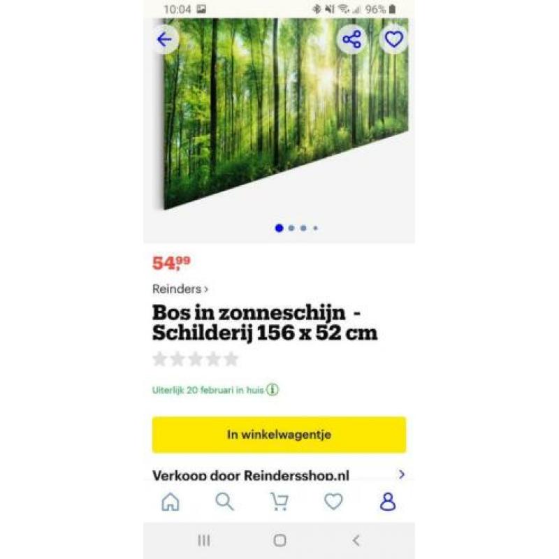 Mooi wandschilderij