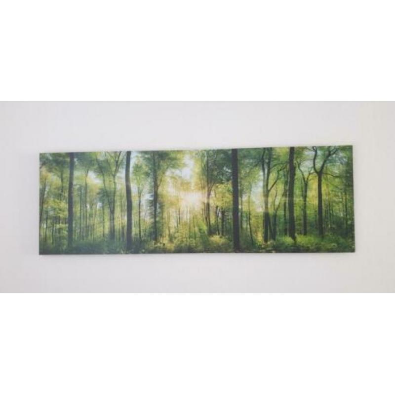 Mooi wandschilderij