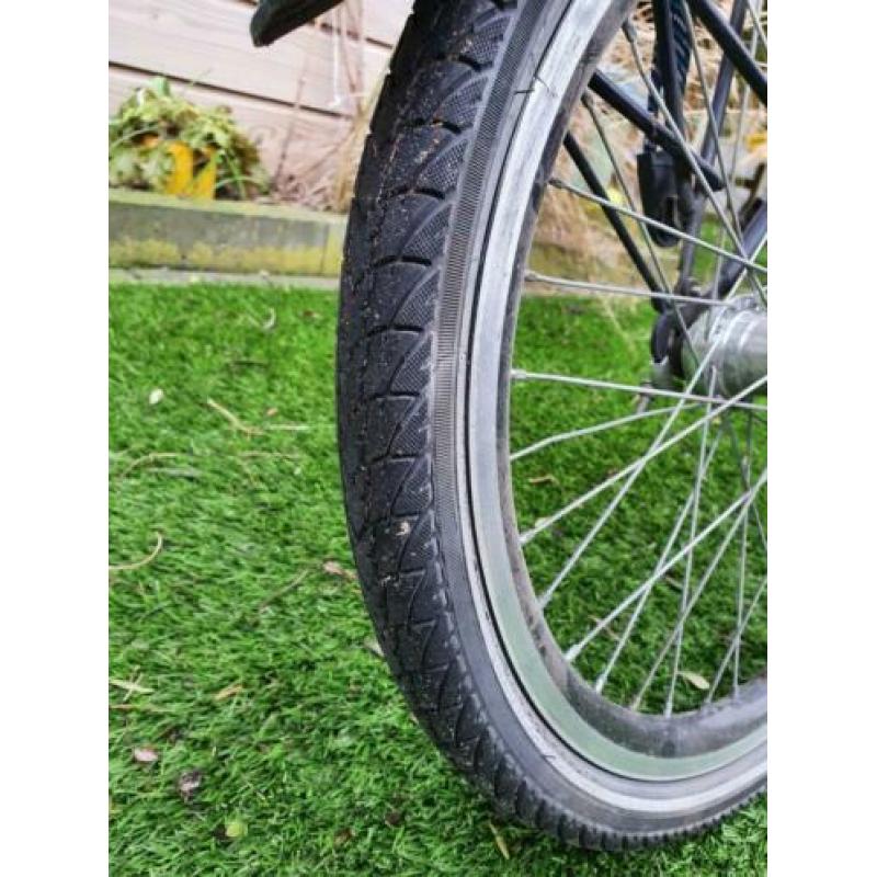 alpina yabber 20 inch