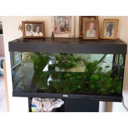 Aqarium