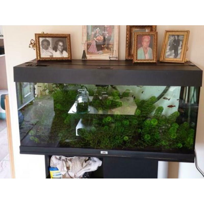 Aqarium