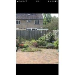 Tuinman met teveel tijd