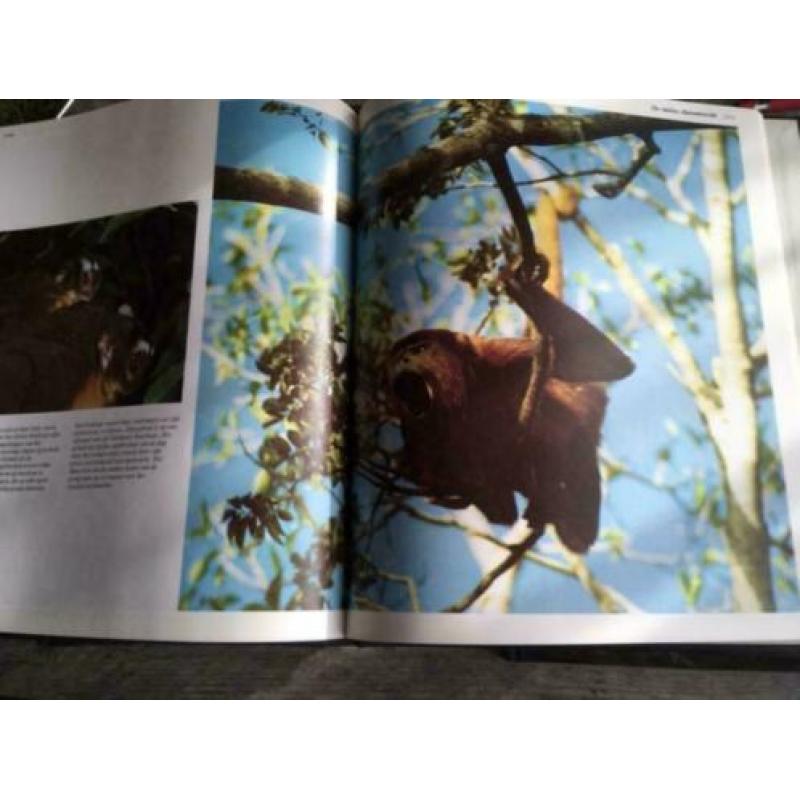 natuurboeken: 12 Boeken uit de wereld der woeste natuur