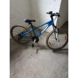 giant mountainbike