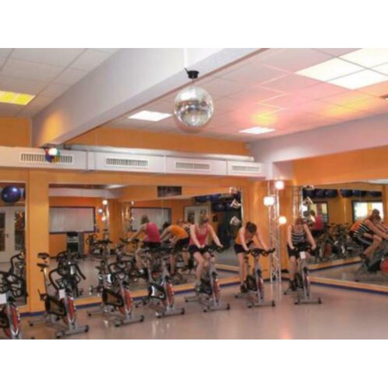 Eurolite Discobol 30 cm Gold