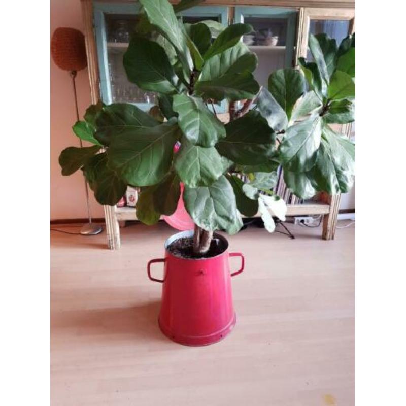 Antieke emaille plantenbak/prullenbak