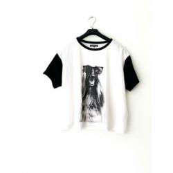 Leuk shirt hondje | superstar | Mt m | € 5