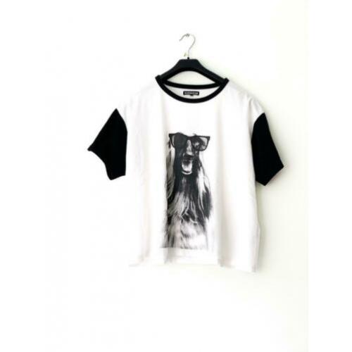 Leuk shirt hondje | superstar | Mt m | € 5
