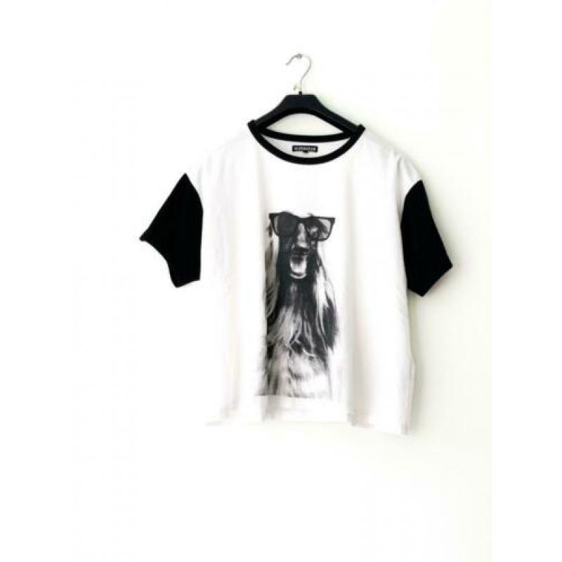 Leuk shirt hondje | superstar | Mt m | € 5