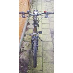 Batavus Snake 24 inch fiets