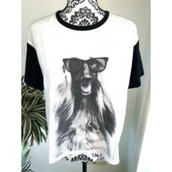 Leuk shirt hondje | superstar | Mt m | € 5