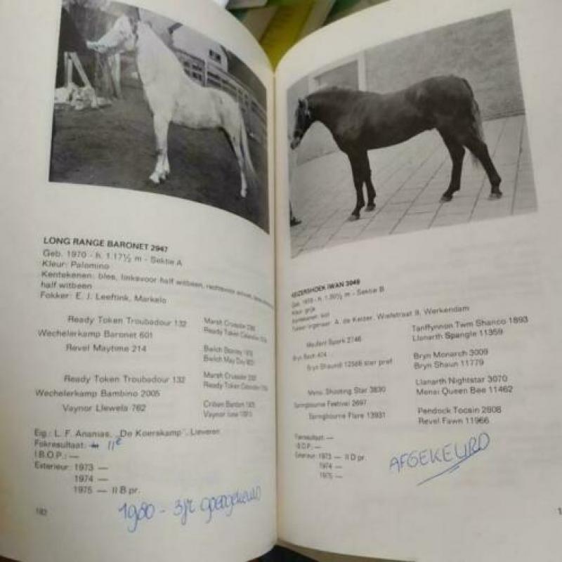Gids/jaarboek Welsh Pony's in Nederland 1975-1976