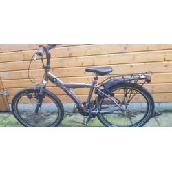 Batavus Snake 24 inch fiets