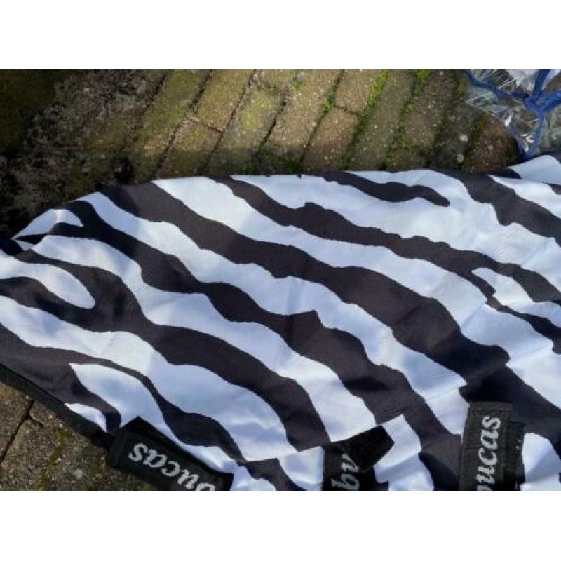 Bucas Sweet Itch Zebra