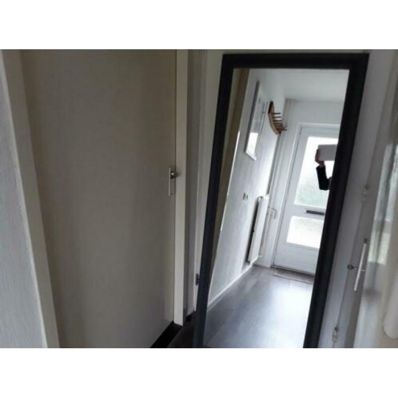 Spiegel groot , hoog 168 br 69, 50.00 euro