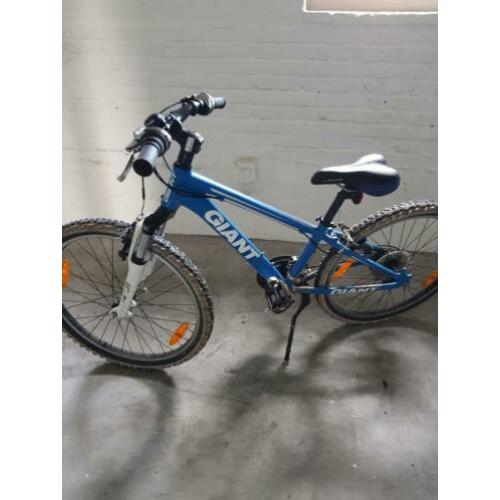 giant mountainbike