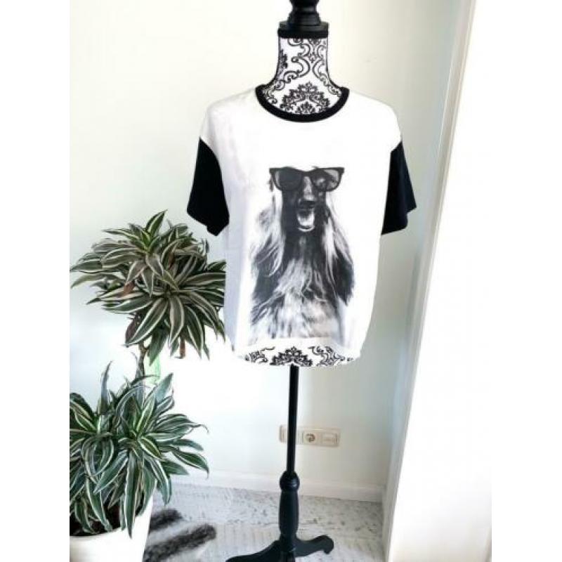 Leuk shirt hondje | superstar | Mt m | € 5