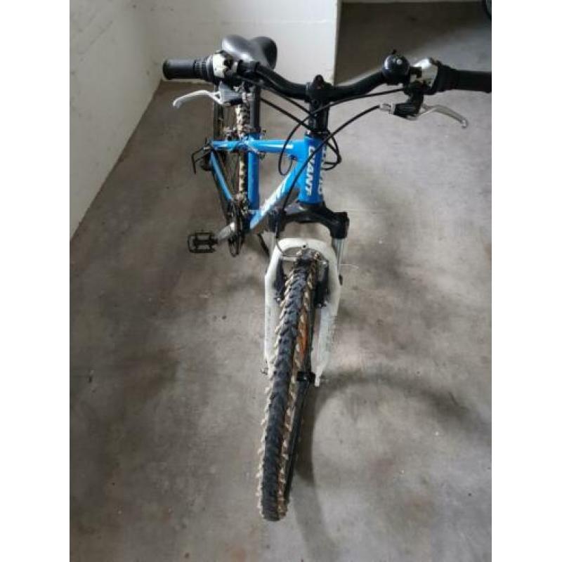 giant mountainbike