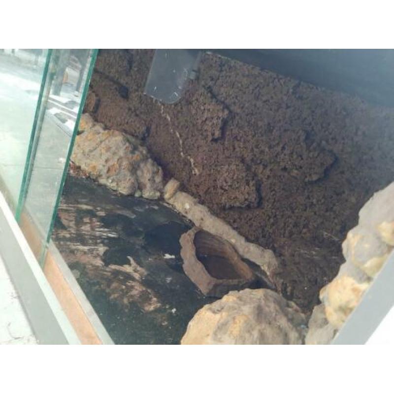 Terrarium