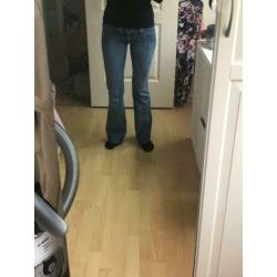 frankie b flared butterfly jeans