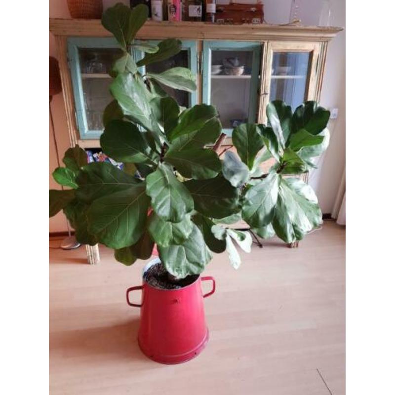 Antieke emaille plantenbak/prullenbak