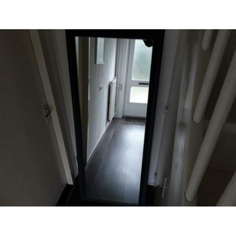 Spiegel groot , hoog 168 br 69, 50.00 euro