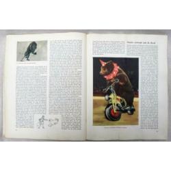 De bonte droom van het circus 1956. plaatjes album.