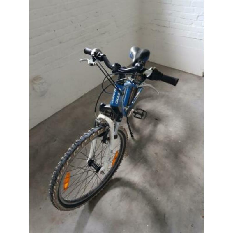 giant mountainbike