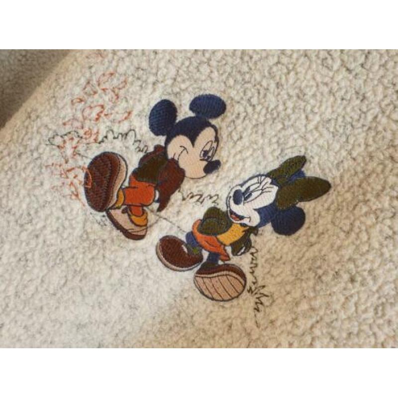 Mooi Disney vest maat XL