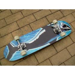 SkateBoard