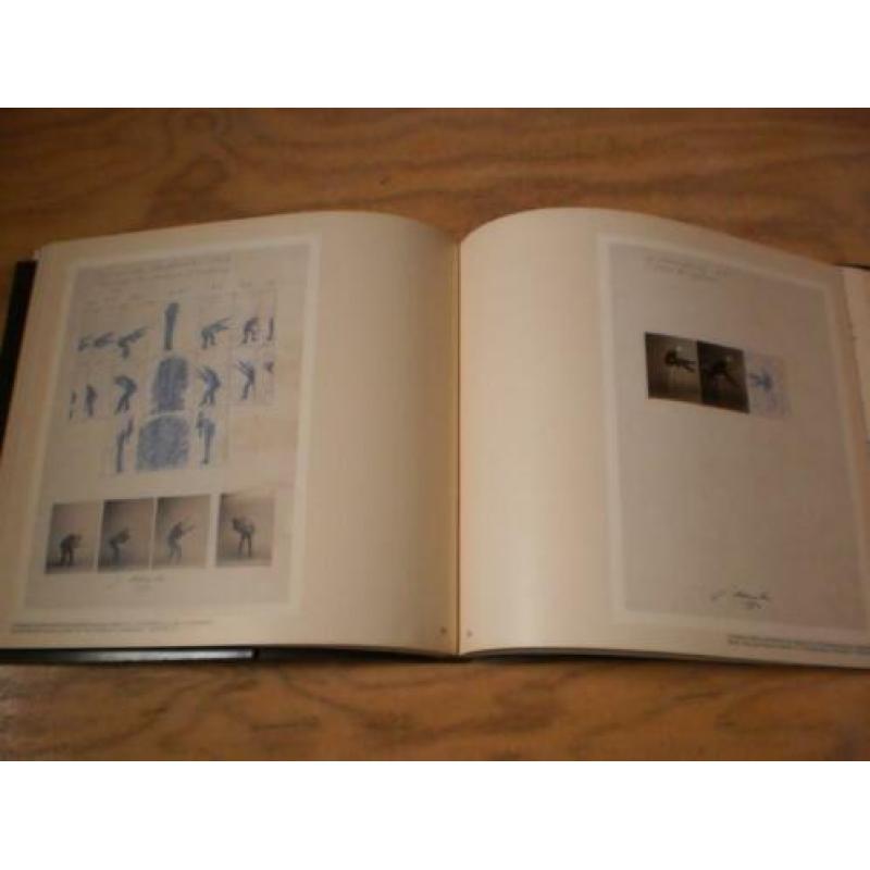 Contemporary German Drawings - softcover