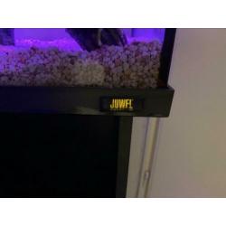 Mooi en goedkoop juwel aquarium