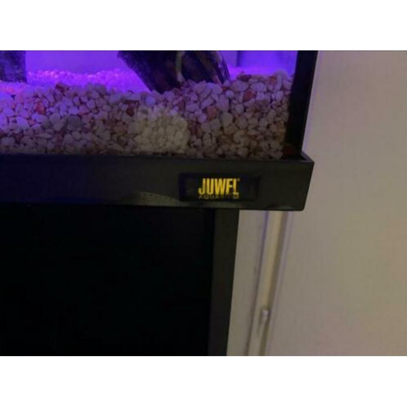 Mooi en goedkoop juwel aquarium