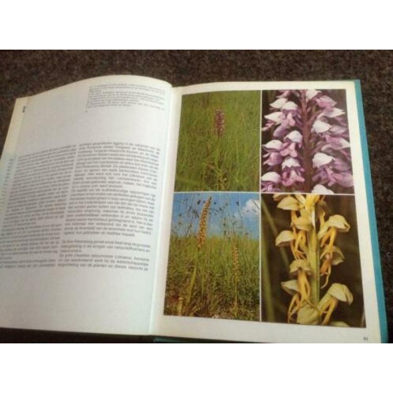 Boeken ; Natuur en vogelreservaat 6 boeken