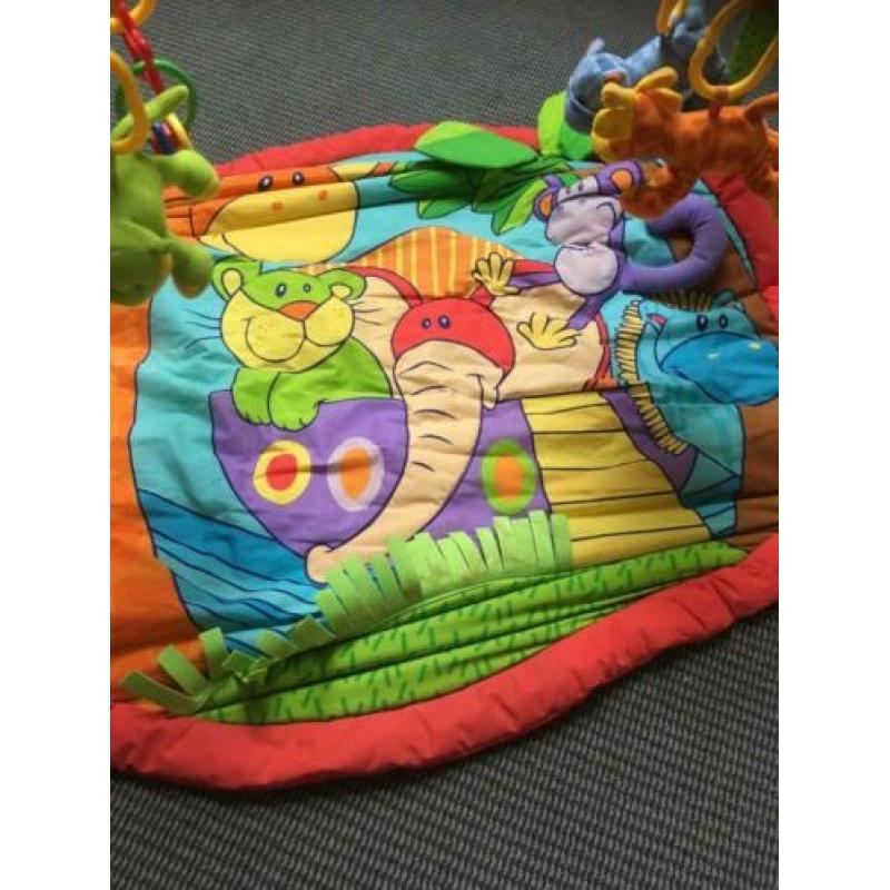 Baby gym