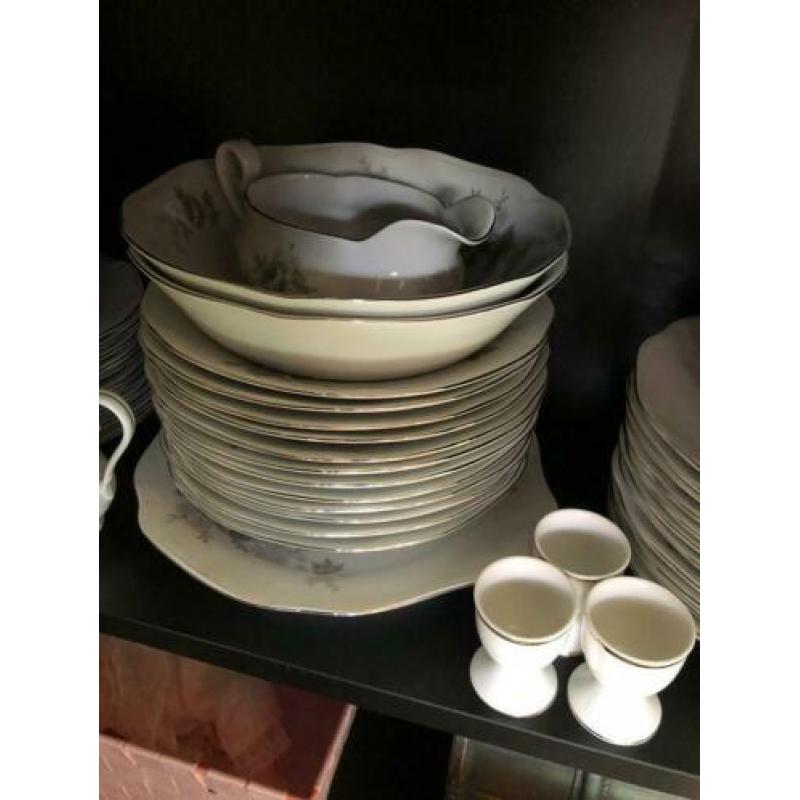 12 delig compleet servies