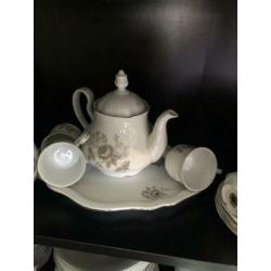 12 delig compleet servies