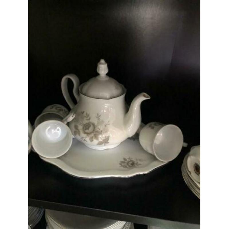 12 delig compleet servies