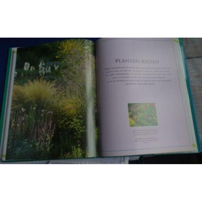 DE TUIN * Peter Mc Hoy *