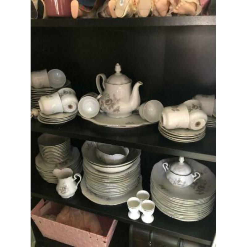 12 delig compleet servies
