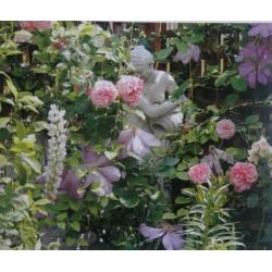 DE TUIN * Peter Mc Hoy *