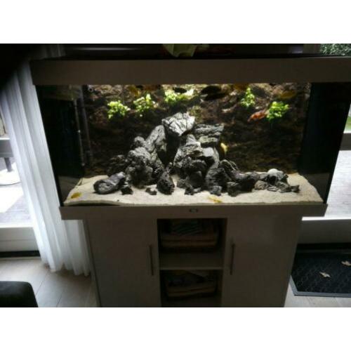 Tekoop juwel aquarium