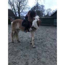 Super leuke & lieve kinderpony