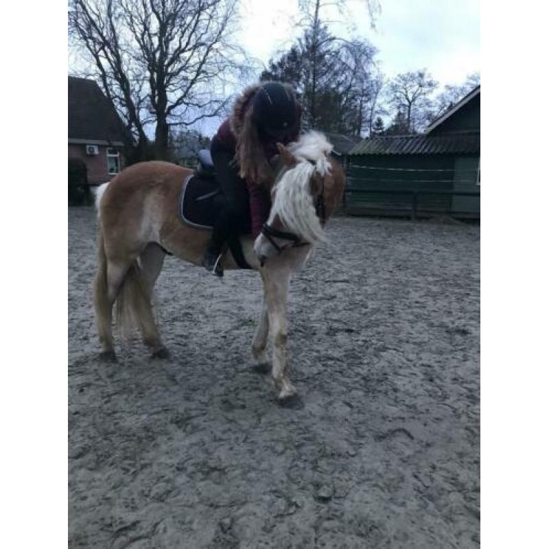 Super leuke & lieve kinderpony