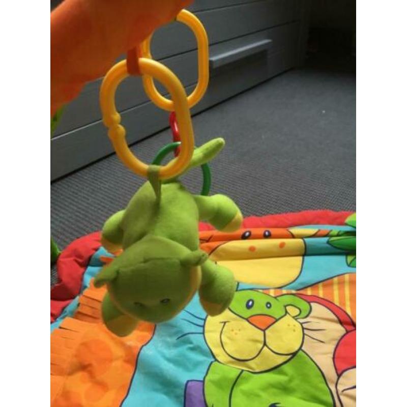 Baby gym