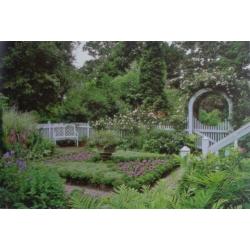 DE TUIN * Peter Mc Hoy *