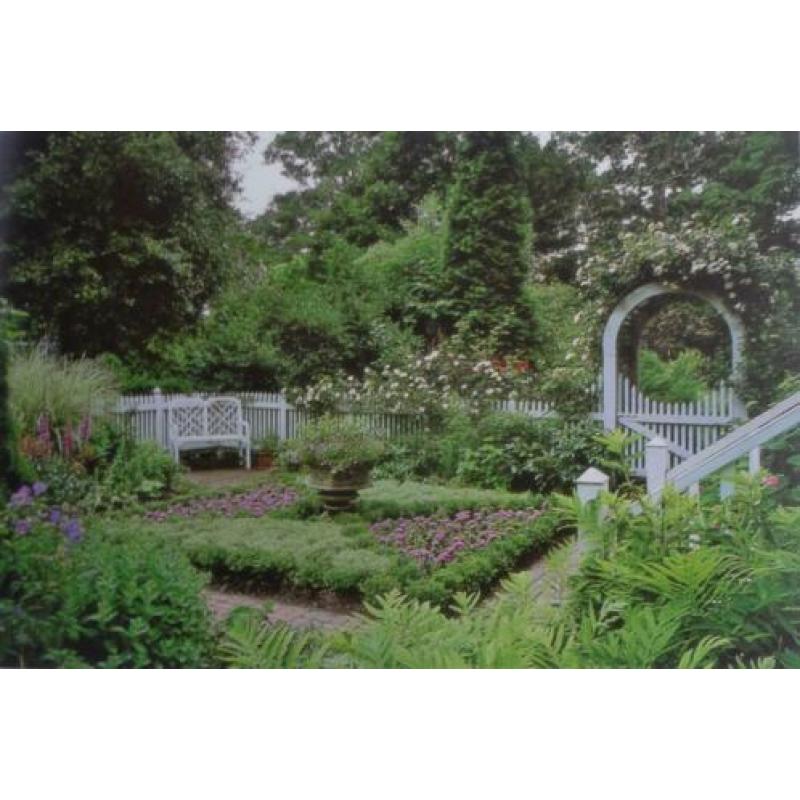 DE TUIN * Peter Mc Hoy *